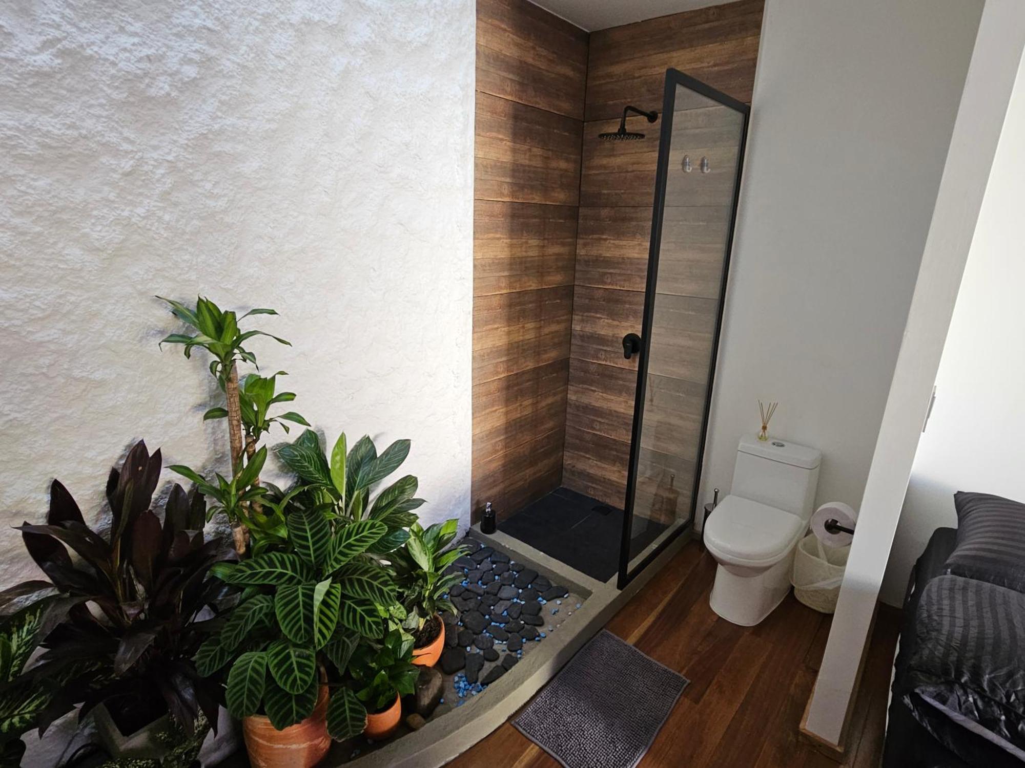 ホテル Casa Alba カリ エクステリア 写真