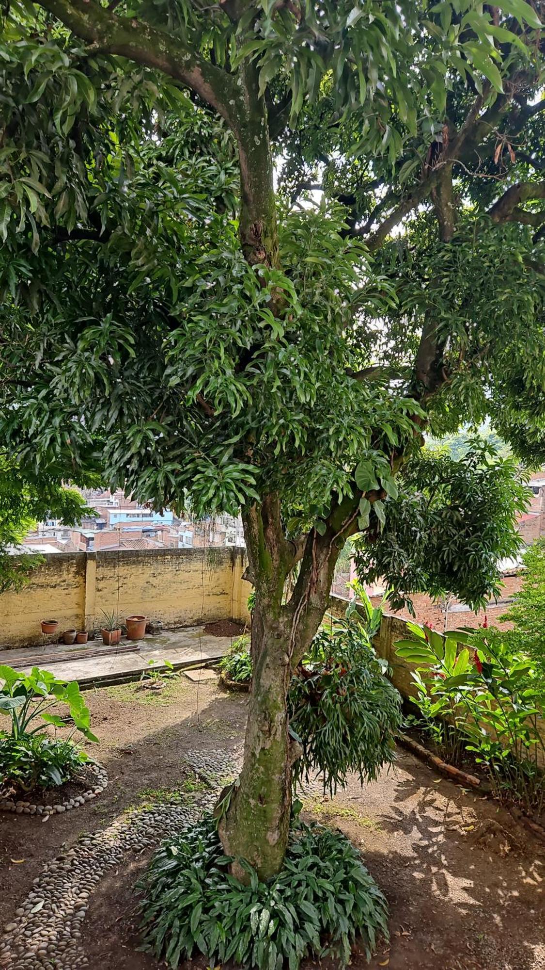 ホテル Casa Alba カリ エクステリア 写真